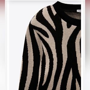 Zara Jaquard Sweater